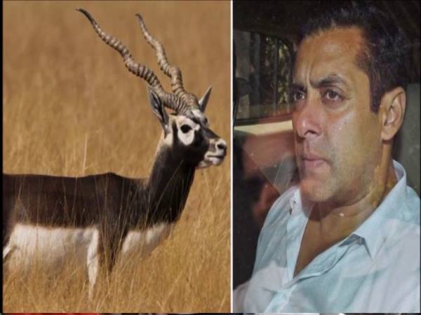 jodhpur Deer hunting case: Salmans plea against the punishment was not heard incomplete jodhpur Deer hunting case: Salmans plea against the punishment was not heard incomplete