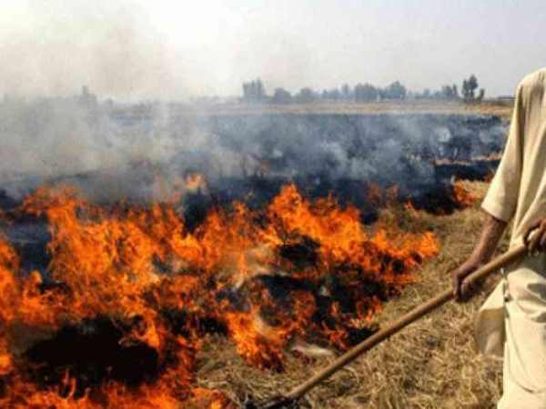 give idea to stop stubble burning then Punjab govt will give you seven crore rupees give idea to stop stubble burning then Punjab govt will give you seven crore rupees