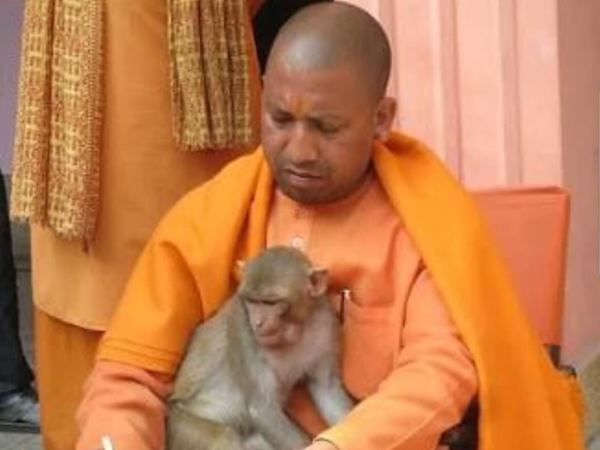Yogi Adityanath Yogi Adityanath