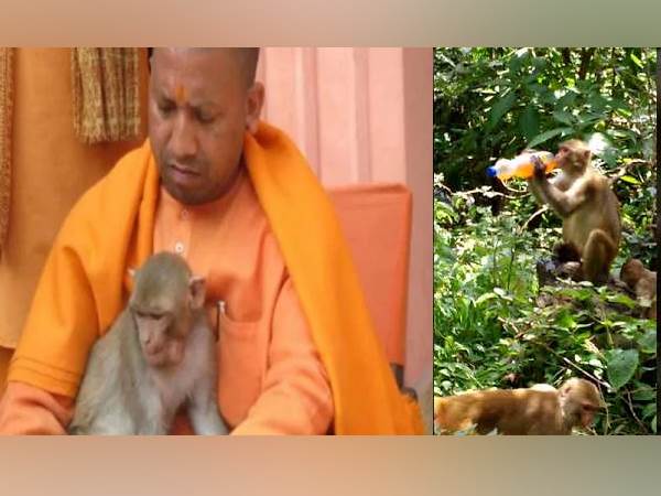 31 अगस्त को दिया था दोस्ती का फॉर्मूला