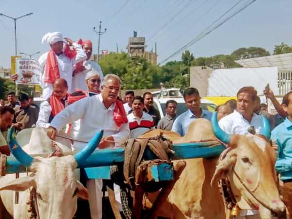 Congress leaders travelling on the bullock cart and bicycle to the assembly Congress leaders travelling on the bullock cart and bicycle to the assembly