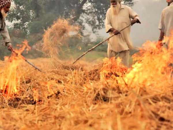 दिल्ली-एनसीआर और पड़ोसी राज्यों के किसान है जिम्मेदार