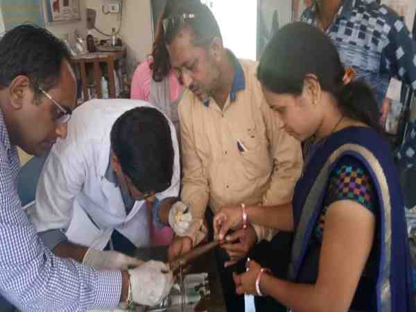 an hour long operation to save injured cobra in ujjain an hour long operation to save injured cobra in ujjain