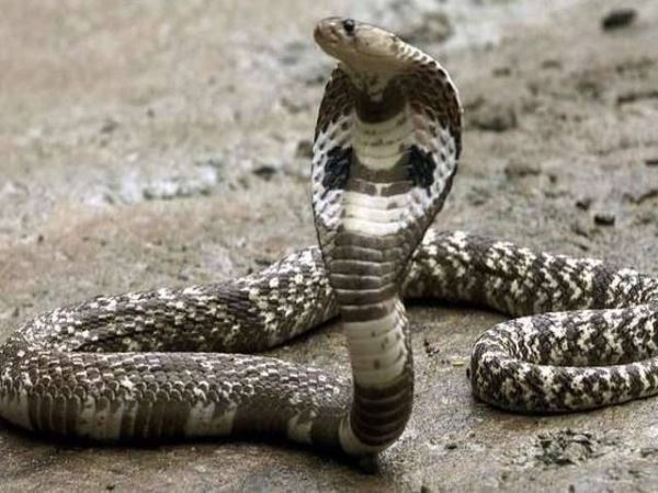 शरीर एक घंटे के लिए सुन्न पड़ जाता था