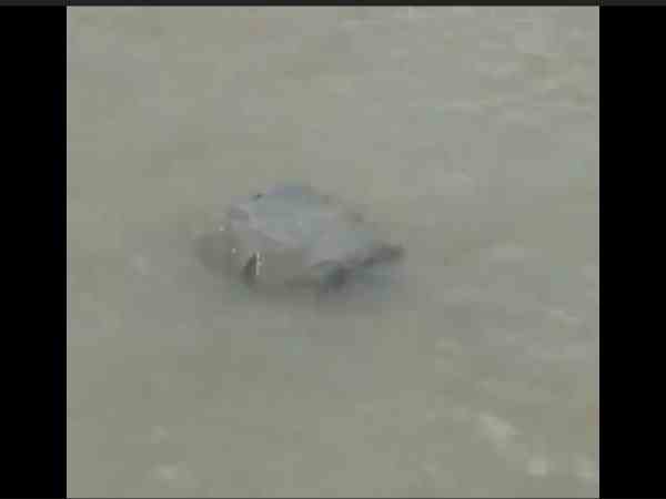 people amaze when they saw ram setu stone floating in river ganga people amaze when they saw ram setu stone floating in river ganga