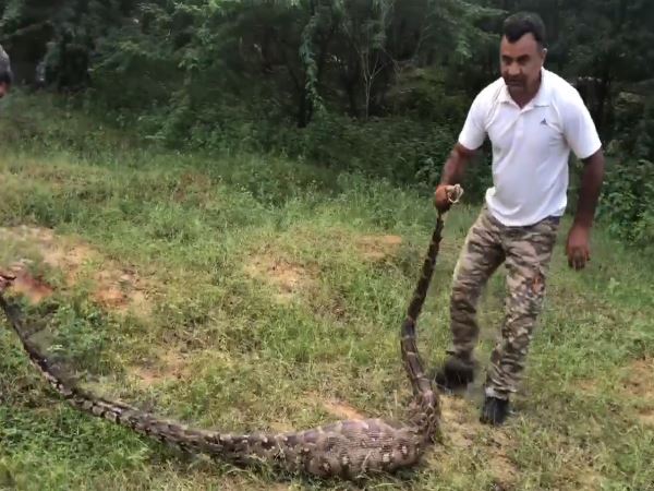 पलवल पलवल