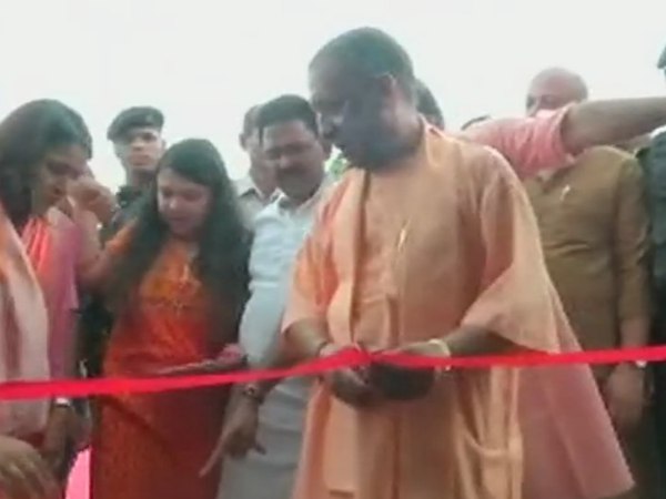 yogi yogi