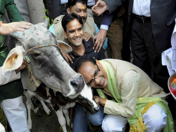 शिवराज का 'गाय' प्रेम