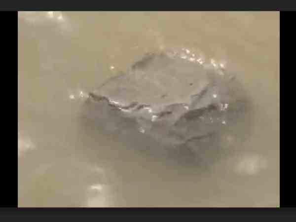 people amaze when they saw ram setu stone floating in river ganga people amaze when they saw ram setu stone floating in river ganga