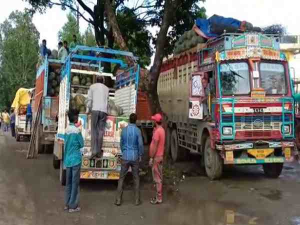 मध्यप्रदेश: कद्दू के अधिक उत्पादन से किसान हुए परेशान, सड़कों पर फेंकी जा रही हैं सब्जियां मध्यप्रदेश: कद्दू के अधिक उत्पादन से किसान हुए परेशान, सड़कों पर फेंकी जा रही हैं सब्जियां