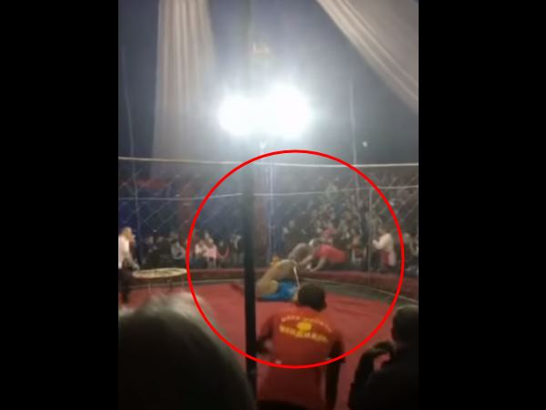 Viral Viral