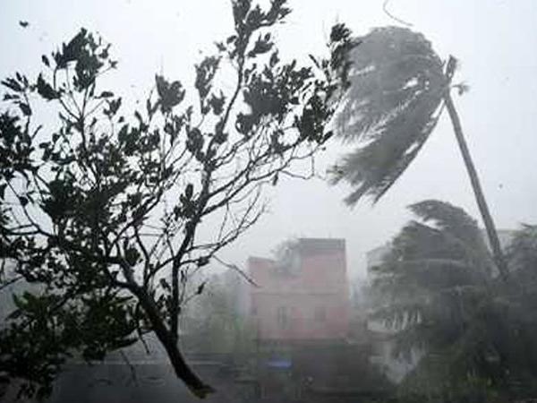 Cyclone Titli: 8 people died in Srikakulam and Vijayanagaram districts of AndhraPradesh Cyclone Titli: 8 people died in Srikakulam and Vijayanagaram districts of AndhraPradesh