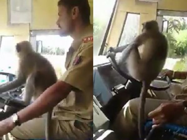 Viral Viral