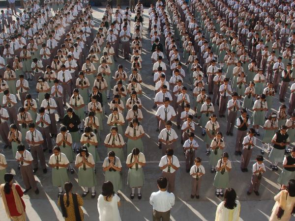 Schools Schools