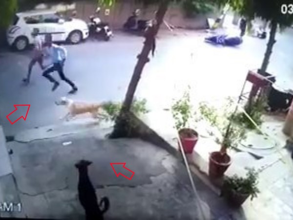 चेन छीनने की कोशिश में गिरे स्कूटी से