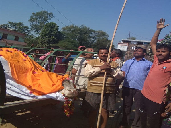 Band-baja funeral, tomb for bull in UPs Lakhimpur Kheri Band-baja funeral, tomb for bull in UPs Lakhimpur Kheri