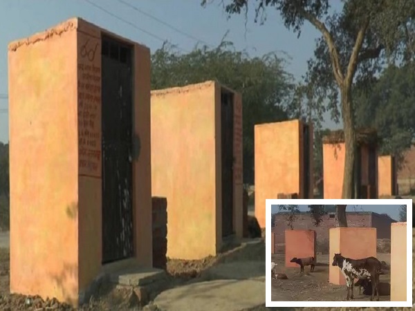 Villagers give toilets in Akhilesh’s home district a saffron hue Villagers give toilets in Akhilesh’s home district a saffron hue