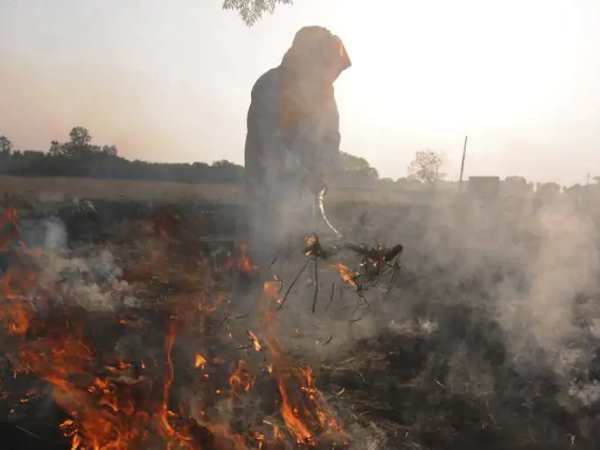 एयर इंडेक्स रिपोर्ट