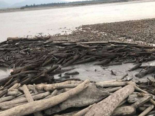 after landslide forms lake in China Flash flood alert in Arunachal Pradesh after landslide forms lake in China Flash flood alert in Arunachal Pradesh