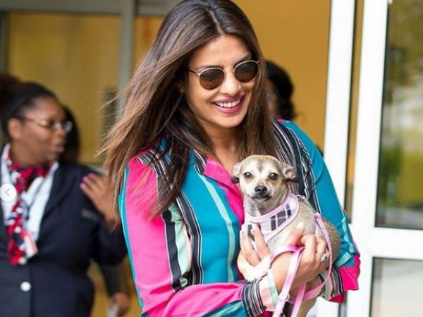 Priyanka Chopra Priyanka Chopra