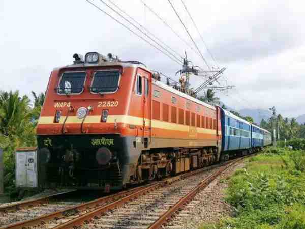 at least fifteen cows died on railway track in kanpur at least fifteen cows died on railway track in kanpur