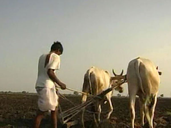 रिपोर्ट में माना था नोटबंदी से हुआ भारी नुकसान