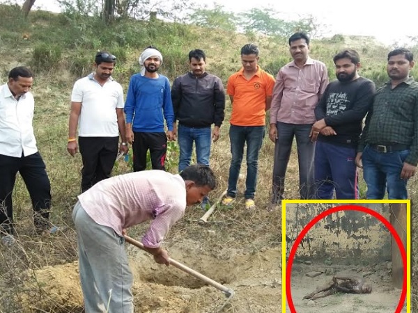 after death of a monkey, youths held sunderkand in Funeral after death of a monkey, youths held sunderkand in Funeral