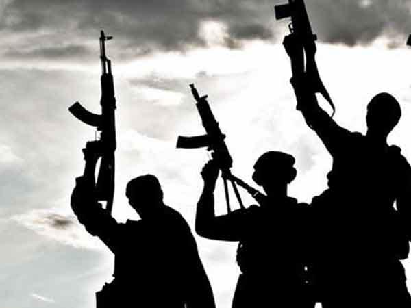 terrorist terrorist