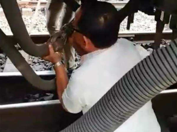 VIDEO: पटरी पर था गार्ड, तभी चल पड़ी ट्रेन, ऐसे बची जान VIDEO: पटरी पर था गार्ड, तभी चल पड़ी ट्रेन, ऐसे बची जान