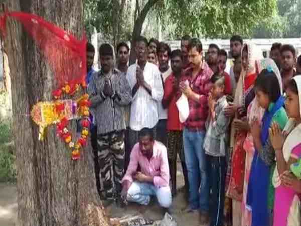 यूपी: सपने में भगवान ने दिया दर्शन, सुबह उठकर देखा तो पेड़ से निकल रहा था दूध- ग्रामीण यूपी: सपने में भगवान ने दिया दर्शन, सुबह उठकर देखा तो पेड़ से निकल रहा था दूध- ग्रामीण