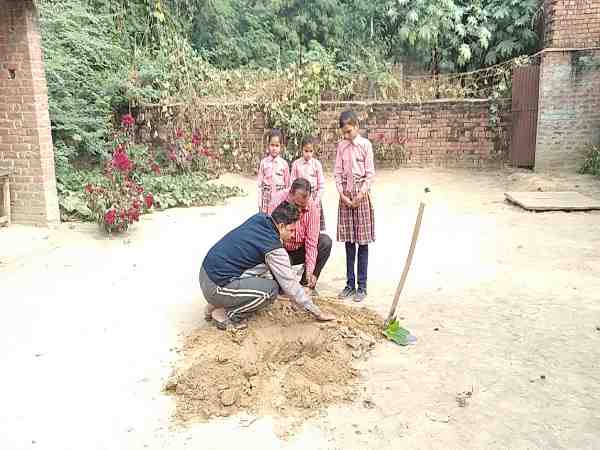 पौधे की देखभाल के बाद अगली कक्षा में प्रवेश