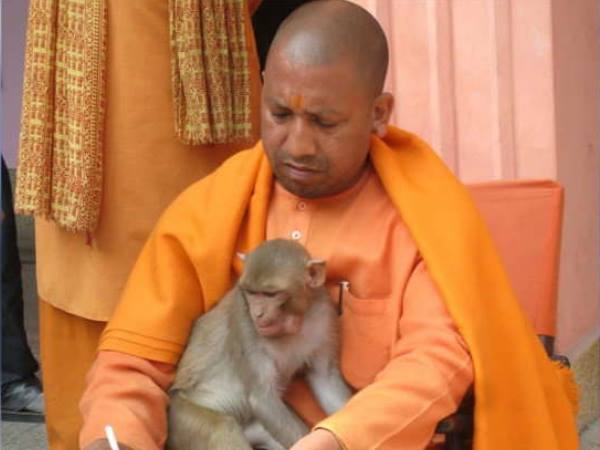 योगी ने हनुमान को बताया है दलित