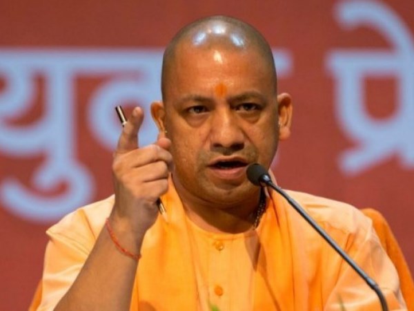 yogi yogi
