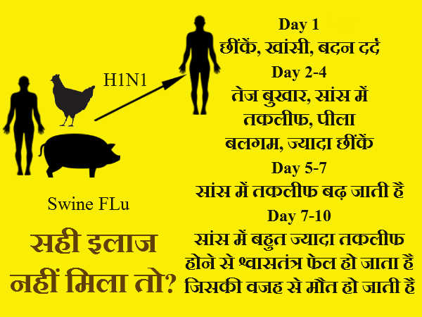 दिल्ली में स्वाइन फ्लू ने फिर दी दस्त