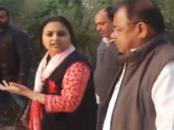 Rewa Collector Rewa Collector
