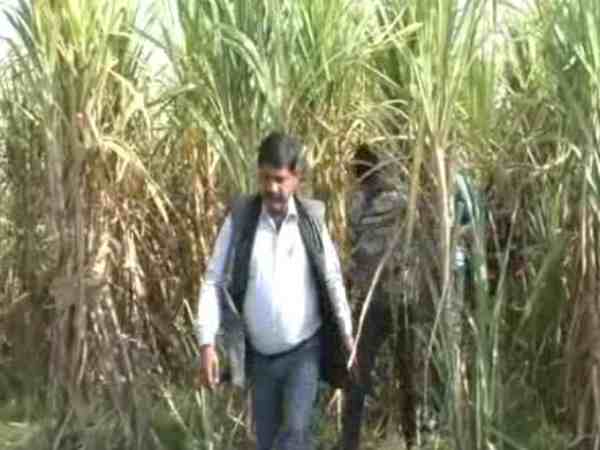 हापुड़ : गन्ने के खेत में पड़ा मिला युवक और युवती का शव, 1 दिसंबर से थे लापता हापुड़ : गन्ने के खेत में पड़ा मिला युवक और युवती का शव, 1 दिसंबर से थे लापता