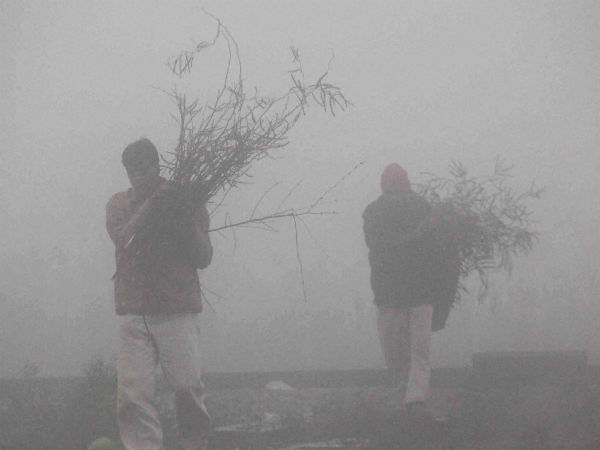 कांप रहा है उत्तर भारत, यातायात प्रभावित