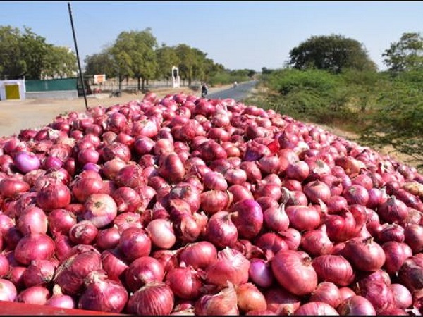 750 किलो प्याज 1.40 रु की दर से बेचनी पड़ी