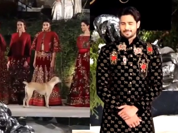 रैंप वॉक के दौरान जब हुई कुत्ते की एंट्री