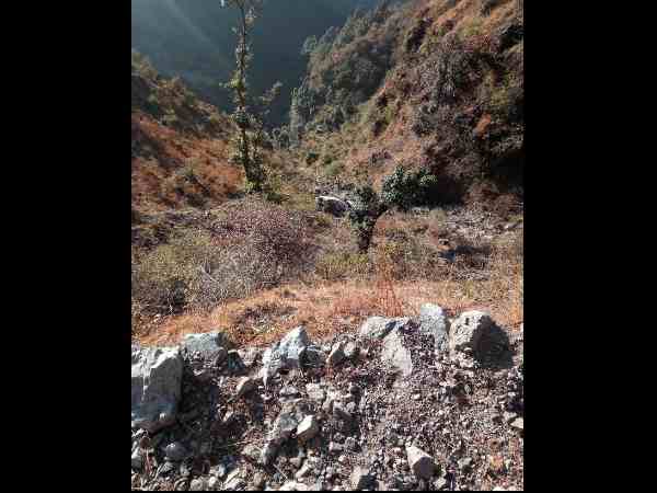 three people died in an accident after their car fell into deep ditch in mussoorie three people died in an accident after their car fell into deep ditch in mussoorie