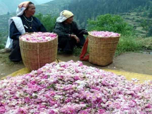 महिलाओं ने खड़ा किया लाखों का कारोबार