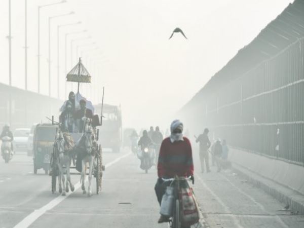 cold wave and fog in delhi, people in capital may soon get relief cold wave and fog in delhi, people in capital may soon get relief