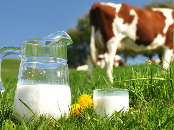 Parag Launches Premium Milk Brand Pride Of Cows In Delhi Rs 120 Per Litre Parag Launches Premium Milk Brand Pride Of Cows In Delhi Rs 120 Per Litre