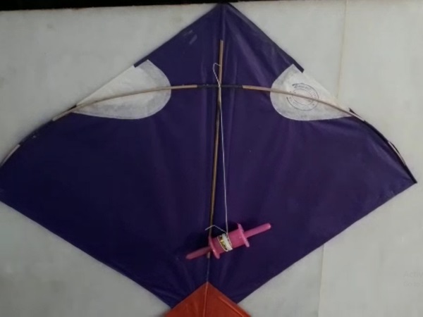 makar Sankranti celebration in gupteswar temple Dausa makar Sankranti celebration in gupteswar temple Dausa