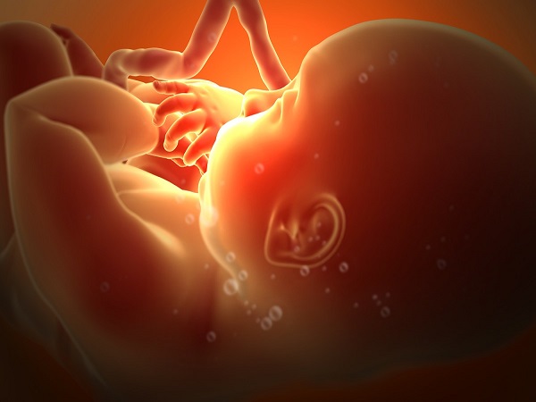 In 2018, almost 42 million lives were lost because of abortion and it dwarfed all other deadly reasons In 2018, almost 42 million lives were lost because of abortion and it dwarfed all other deadly reasons
