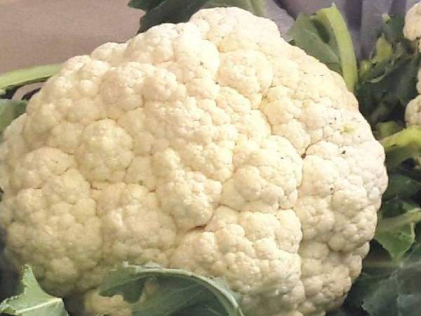 गोभी के वजन से दिखाया कमाल