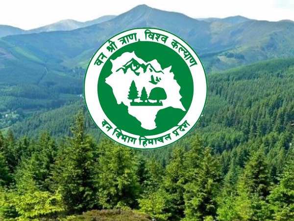 Govt jobs in Himachal Pradesh in forest department Govt jobs in Himachal Pradesh in forest department