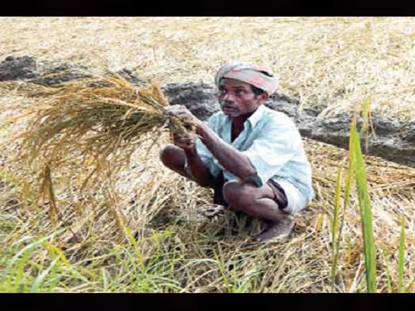 farm income growth dips to a 14 year low in oct december 2018 farm income growth dips to a 14 year low in oct december 2018
