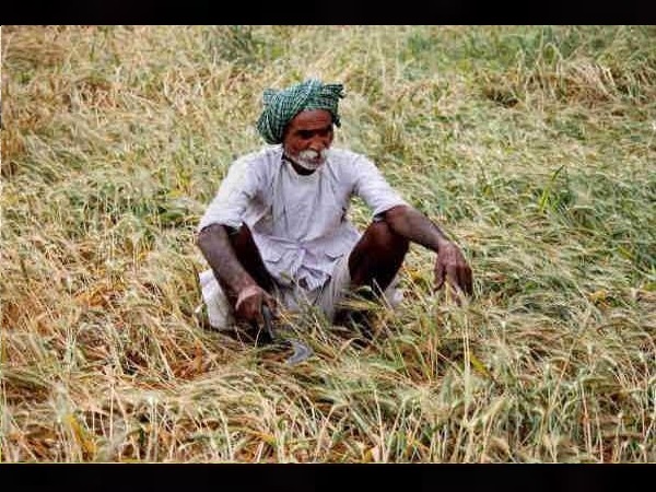 गुजरात के किसान अमीर हैं या कर्जदार हैं
