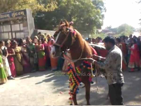 VIRAL VIDEO: Mare uncontrollable at Rajkot Marriage Function during Dance VIRAL VIDEO: Mare uncontrollable at Rajkot Marriage Function during Dance